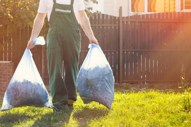 Best Electronics Removal Services  in Howland Center, OH
